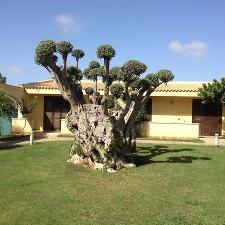 Disio Marsala